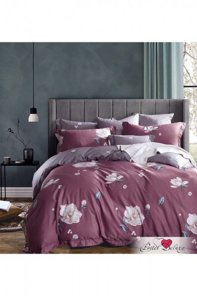 Постельное белье Твил сатин 089