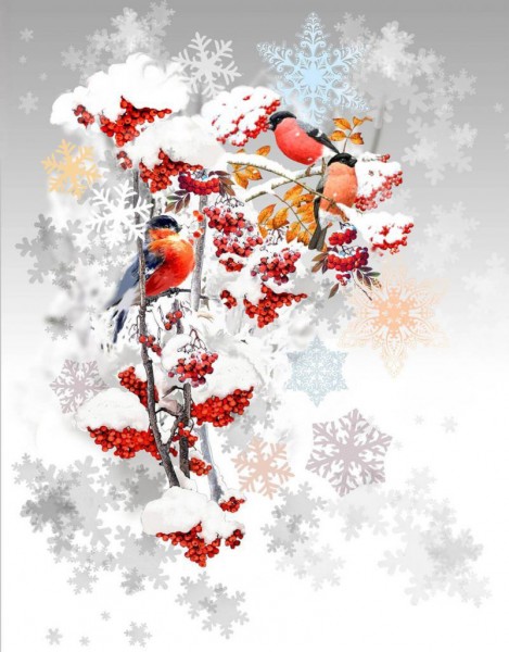 Полотенце вафельное рогожка Морозко р.45*60