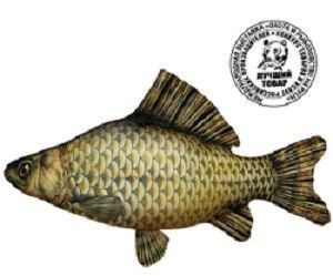 Антистрессовая игрушка Рыба Карась (большой)